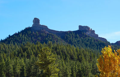 Low angle view of trees against clear blue sky