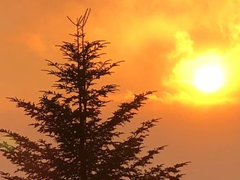 Low angle view of silhouette tree against orange sky