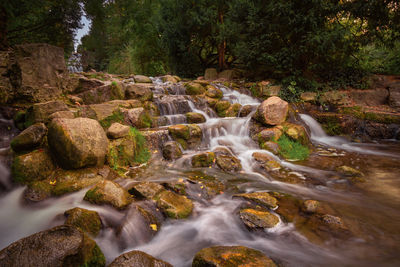 Scenic view of waterfall in forest