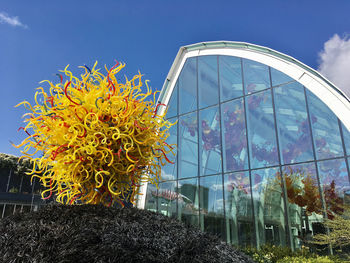 Low angle view of flowering plants against sky