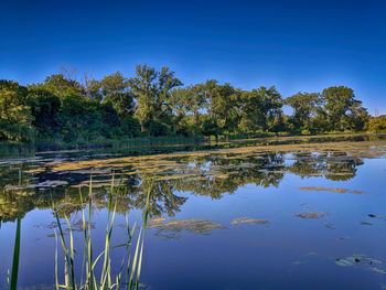 Scenic view of lake against blue sky