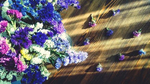 High angle view of purple flowering plants