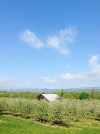 Scenic view of grassy field against cloudy sky