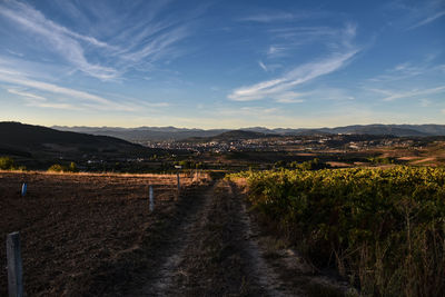 Scenic view of agricultural field against sky