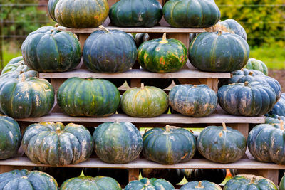 Stack of pumpkins at market stall