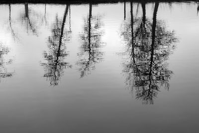 Reflection of tree in lake against sky