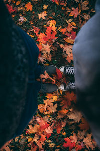 Person by maple leaves during autumn