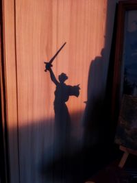 silhouette