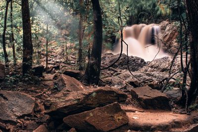 View of waterfall in forest