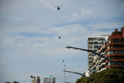 Birds flying over buildings in city