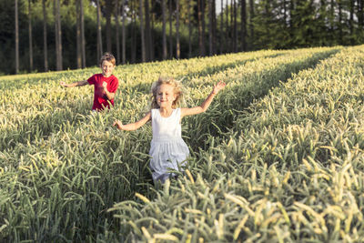 Smiling cute girl running with brother amidst crop plants during sunset