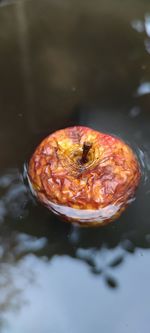 Close-up of fruit