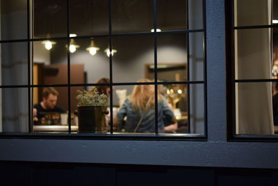 Potted plant against friends in illuminated house seen through window at night