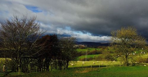 Scenic view of grassy field against cloudy sky