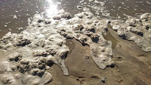 Footprints on sandy beach