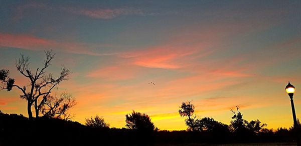 Low angle view of silhouette trees against sky during sunset