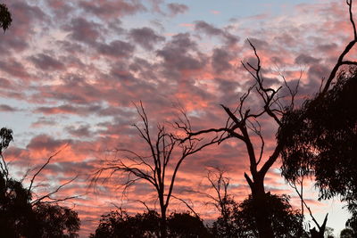 Low angle view of silhouette trees against dramatic sky