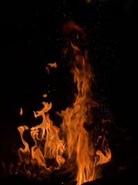 Close-up of bonfire against black background