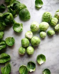 High angle view of brussels sprouts