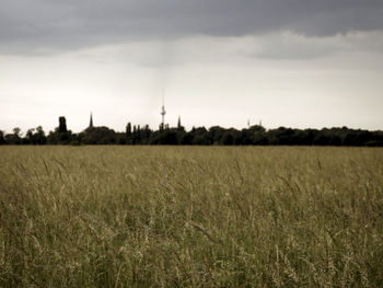 Scenic view of field against sky