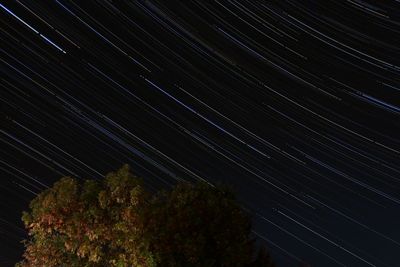 Low angle view of star field against sky at night