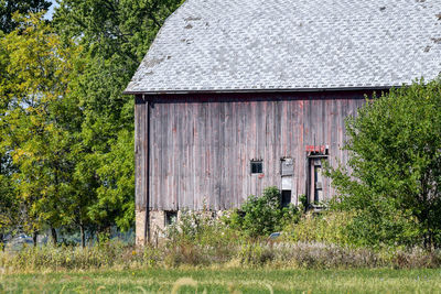 Plants growing on old building