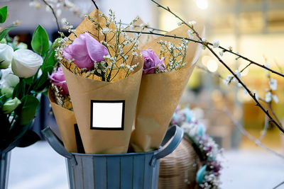 Close-up of potted plant