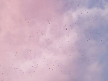 Low angle view of birds flying in sky