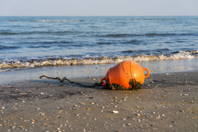 Waste left overboard and returned to the beach