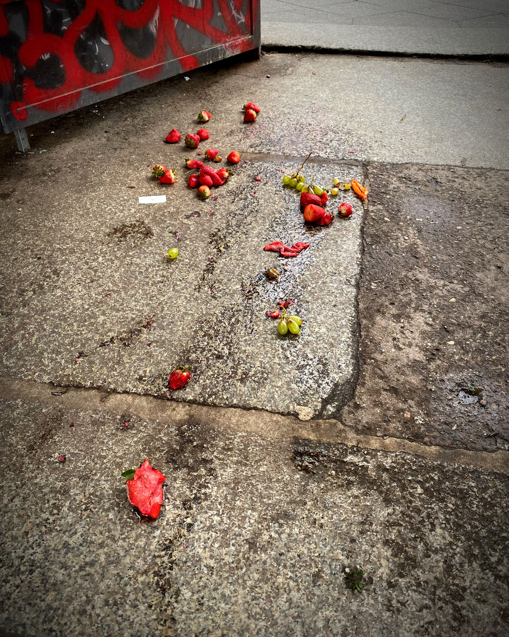 red, no people, high angle view, road surface, day, city, street, nature, text, outdoors, architecture, wall, footpath, road, flower