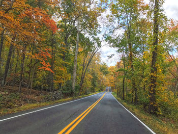 Road amidst trees in forest during autumn