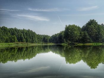 Trees reflecting on lake