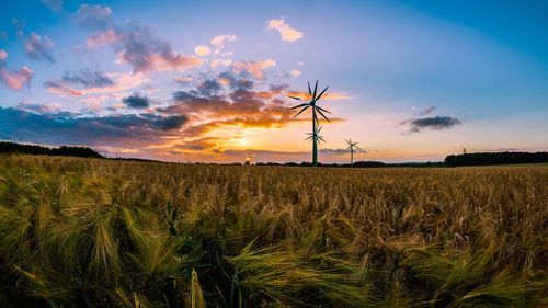 Scenic view of agricultural field against sky during sunset