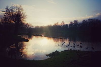 Scenic view of river at sunset