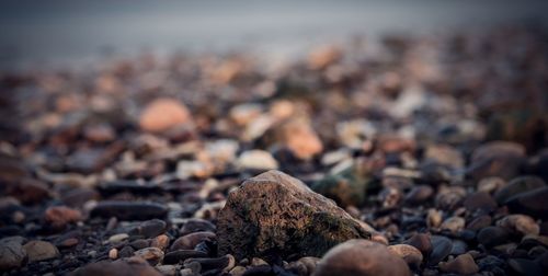 Close-up of stones on beach