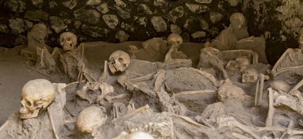 Human skull in cemetery