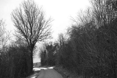 Road amidst bare trees against clear sky