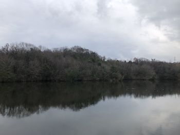 Scenic view of lake by trees against sky