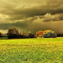 Scenic view of field against cloudy sky