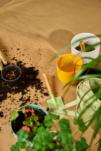 High angle view of food on table
