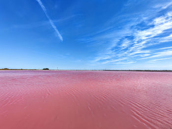 Scenic view of beach against blue sky