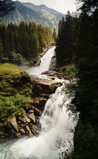 Scenic view of waterfall in forest