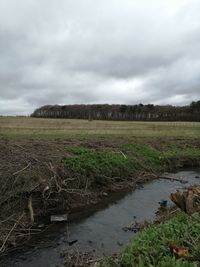 Scenic view of field against sky