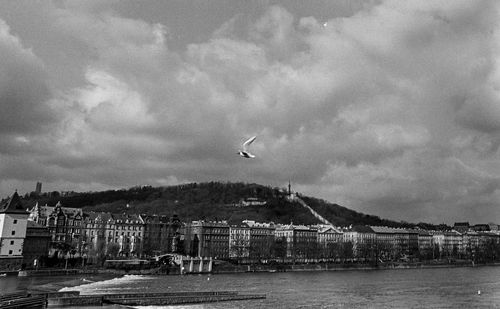 Birds flying over city against sky