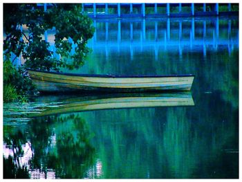 Reflection of trees in lake