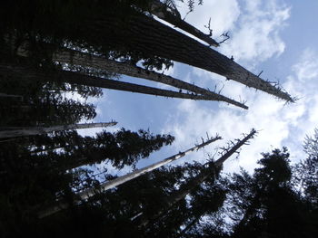 Low angle view of building against cloudy sky