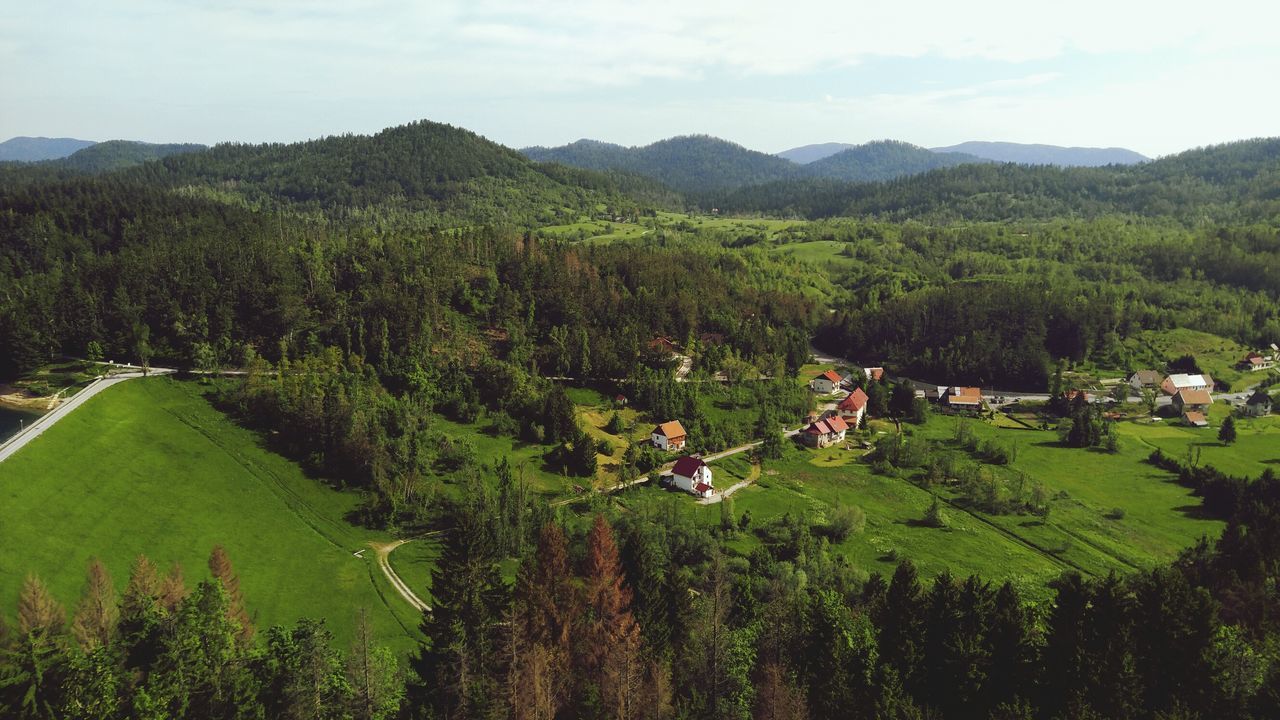 growth, nature, beauty in nature, green color, tree, tranquil scene, tranquility, landscape, sky, scenics, outdoors, agriculture, day, mountain, no people, plant