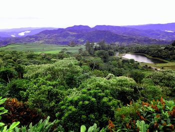 High angle view of trees and mountains against sky