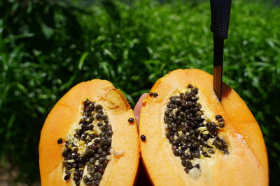 Close-up of orange slice