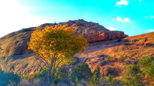 Scenic view of rock formation against sky